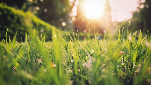 На Львівщині синоптики прогнозують спеку до +33°C